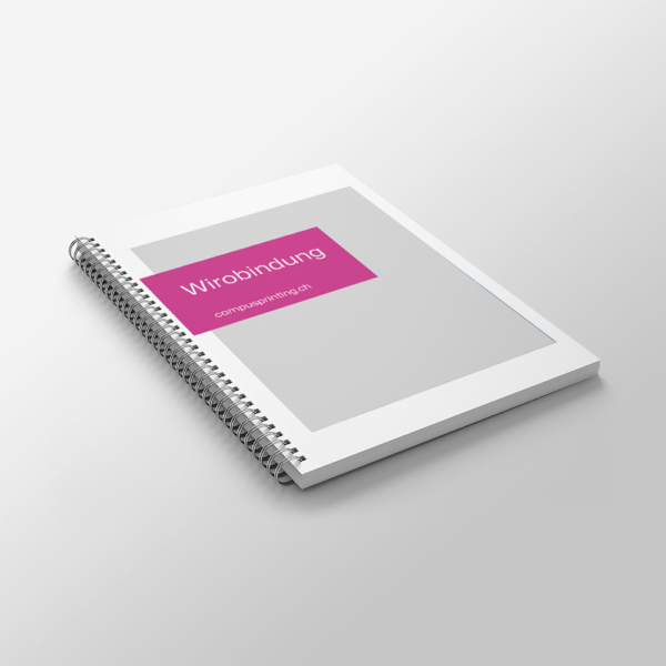 Skript mit WIRO-Bindung